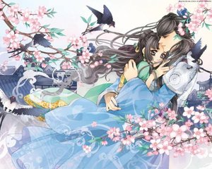 夜来香研究所视频今日上新